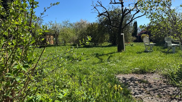Gut gelegenes Grundstück: Bauvorbescheid liegt vor